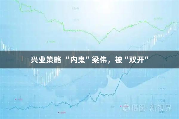 兴业策略 “内鬼”梁伟，被“双开”
