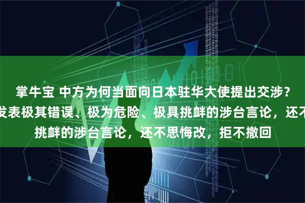 掌牛宝 中方为何当面向日本驻华大使提出交涉？外交部：高市早苗发表极其错误、极为危险、极具挑衅的涉台言论，还不思悔改，拒不撤回