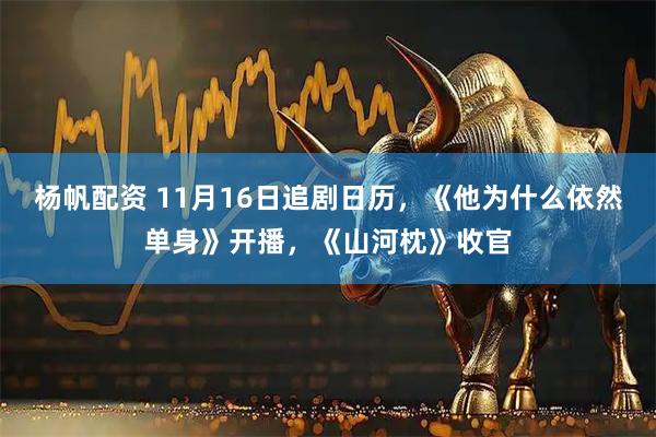 杨帆配资 11月16日追剧日历,《他为什么依然单身》开播,《山河枕》收官