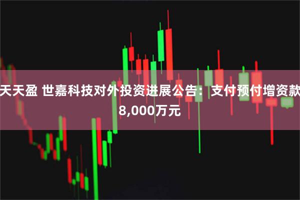 天天盈 世嘉科技对外投资进展公告：支付预付增资款8,000万元