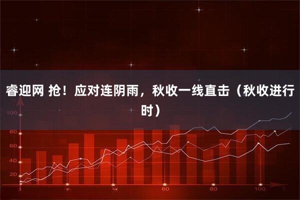 睿迎网 抢！应对连阴雨，秋收一线直击（秋收进行时）